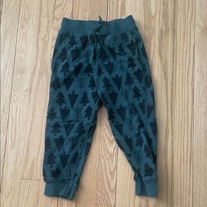 Hanna Andersson Teal Tree Print Joggers